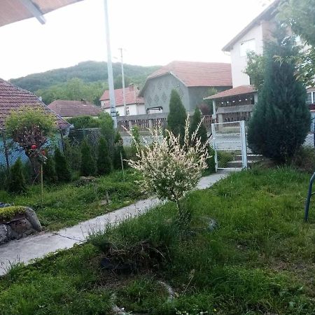 Apartmani Lina Ribarska Banja Dış mekan fotoğraf